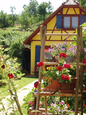 Echelle de fleurs devant le gite - 15-7-06